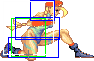 Cammy crfrc2.png