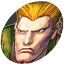 SFIVR-Guile FaceSmall.png