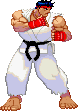 Ryu's Neutral Stance