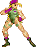 Cammy-old2.gif