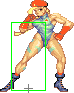 Cammy sk1.png