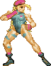 File:Cammy-hold.gif