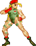 Cammy-old1.gif