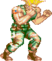 Guile-old1.gif