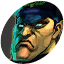 SFIVR-Bison FaceSmall.png