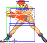 Cammy sk9.png