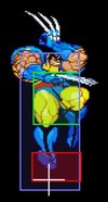 COTA-Wolverine-j2MK.jpg