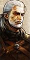 SCVI Geralt Face.jpg