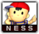 SSBM-Ness FaceSmall.png
