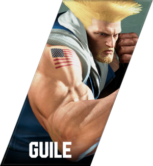 SF6 Guile Face.png